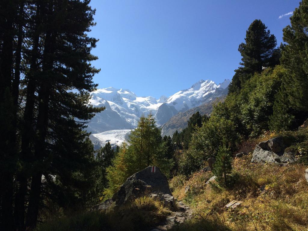 Hotel Bernina Pontresina Eksteriør billede